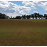 Alimentation, spéculation, fausse solution…