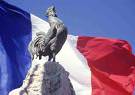 coq gaulois