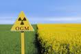 OGM