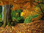 forets bis forets bis